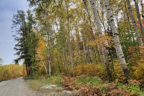 PART 12 GIRL GUIDE ROAD