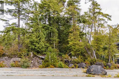 Lot 50 Cedar Grove
