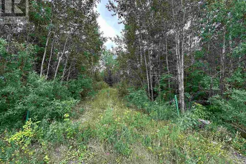 905 FROG CREEK ROAD