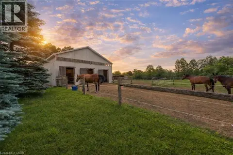 3988 HWY 6