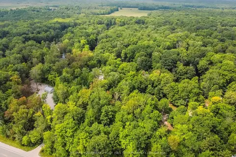 7012 County Road 169