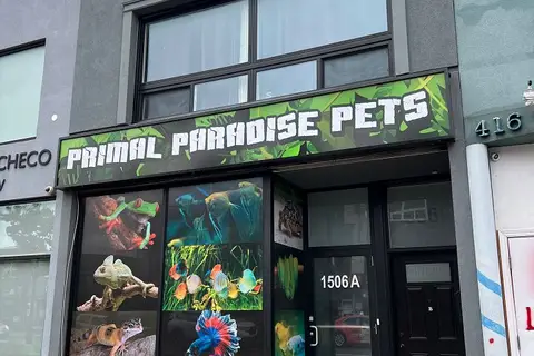 1506 Eglinton Avenue W
