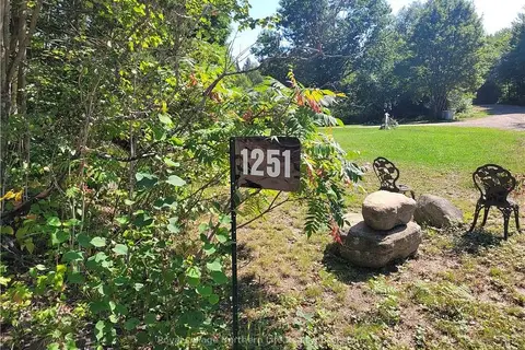 1251 SNAKE CREEK Road