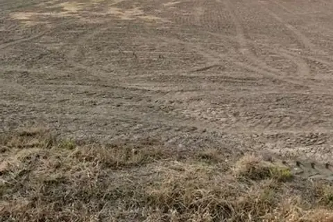 PT 14 CROWN Road