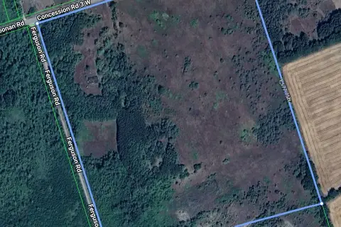 557 Noonan Road