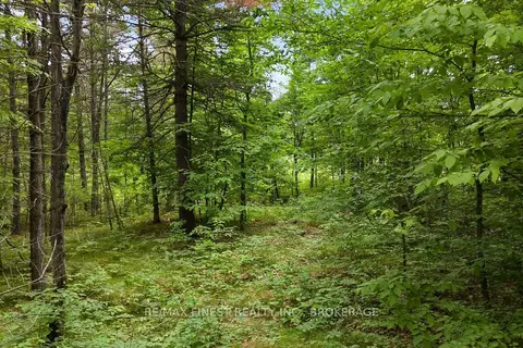 Lot 16 Echo Lake Road