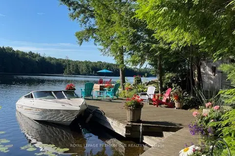 219 Crane Lake Water
