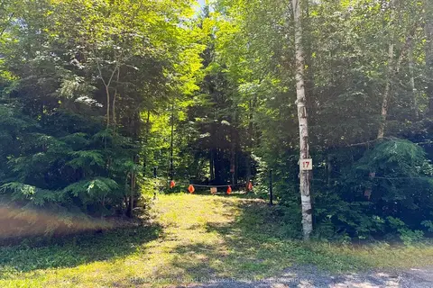 17 White Beaver Trail