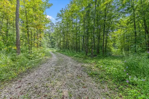 PT LT 4 Concession Road 8