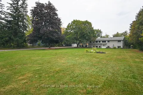 65 Cameron Street