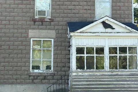 51 Albert Street