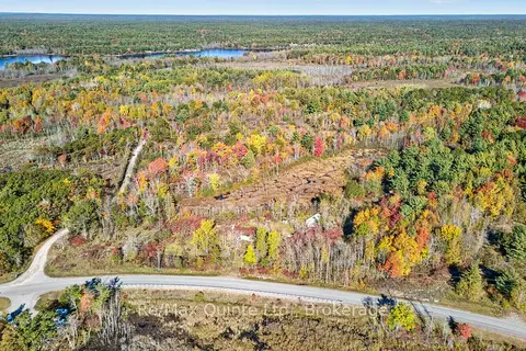 87 Gull Creek Lane