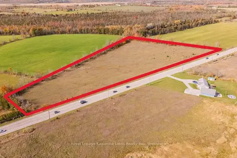 4445 Highway 35