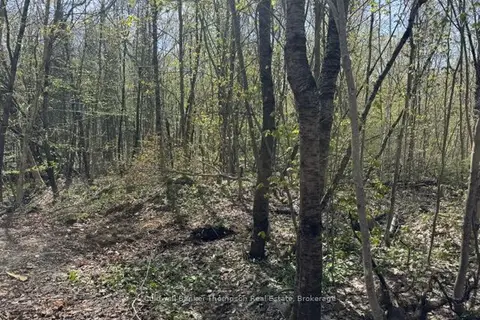 68 Mag View Drive